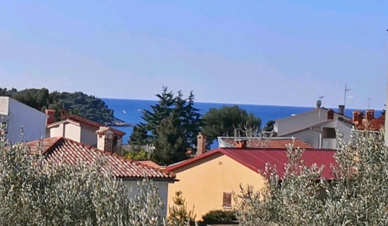 Apartment Emily, 6 2 Guests, Newly Refurbished Pula